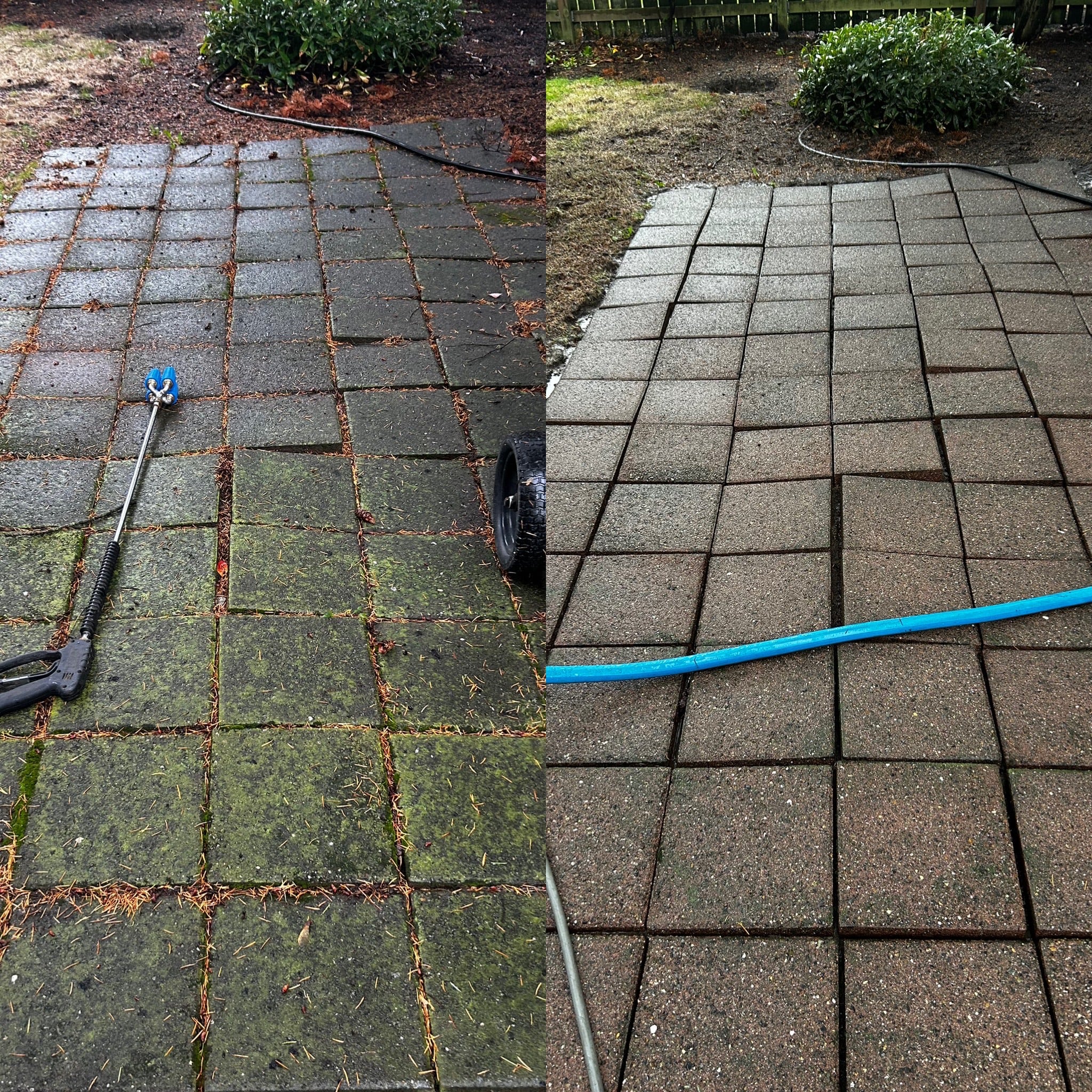 Patio cleaning in Wedgewood, WA