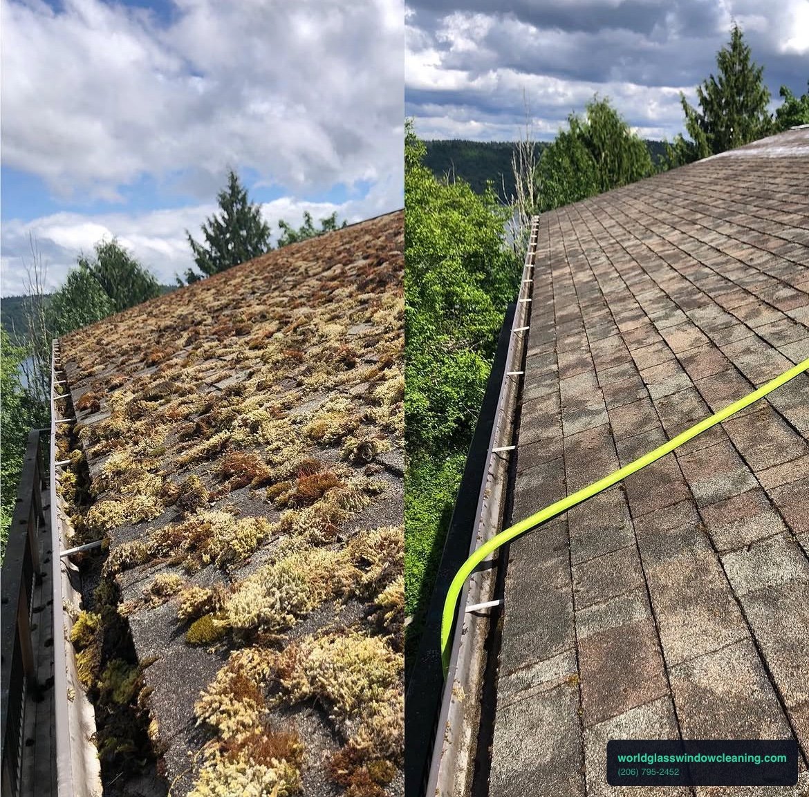 Roof-soft-wash-service-areas-seattle-residential.png