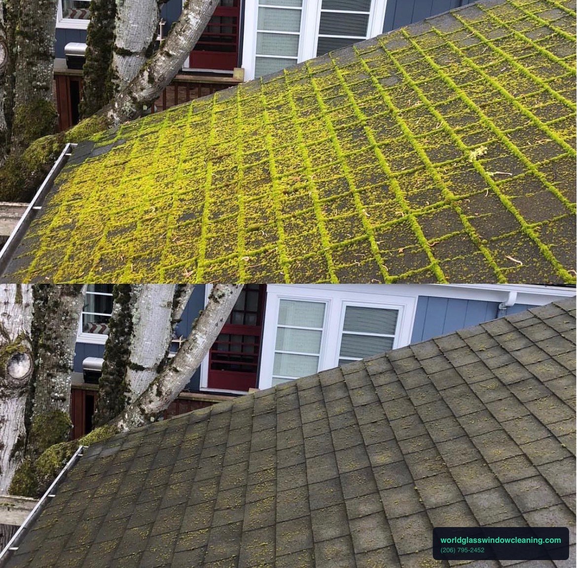 roof-soft-wash-service-areas-seattle-residential.jpg