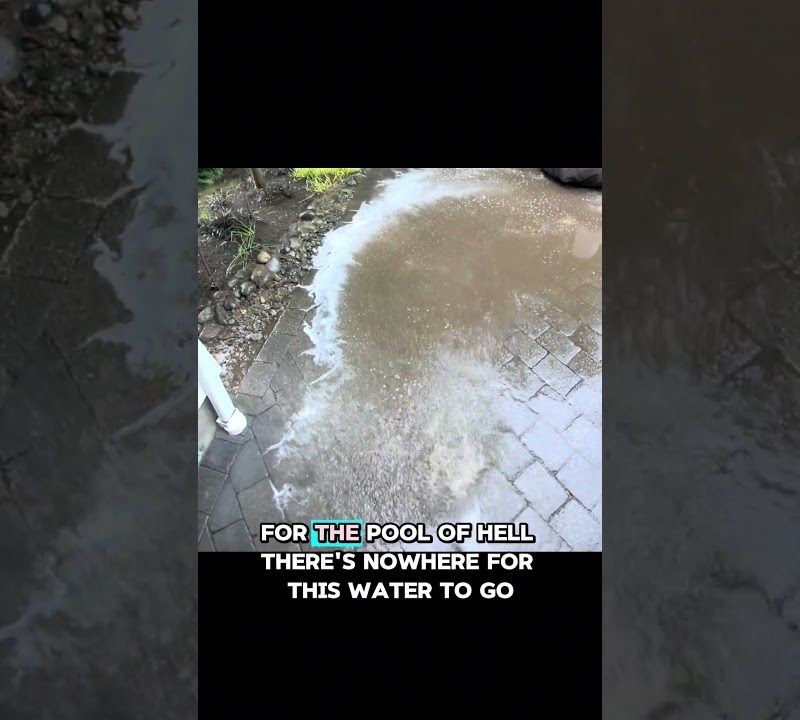 Complete Guide to Your Pressure Washing Job in Capitol Hill Seattle