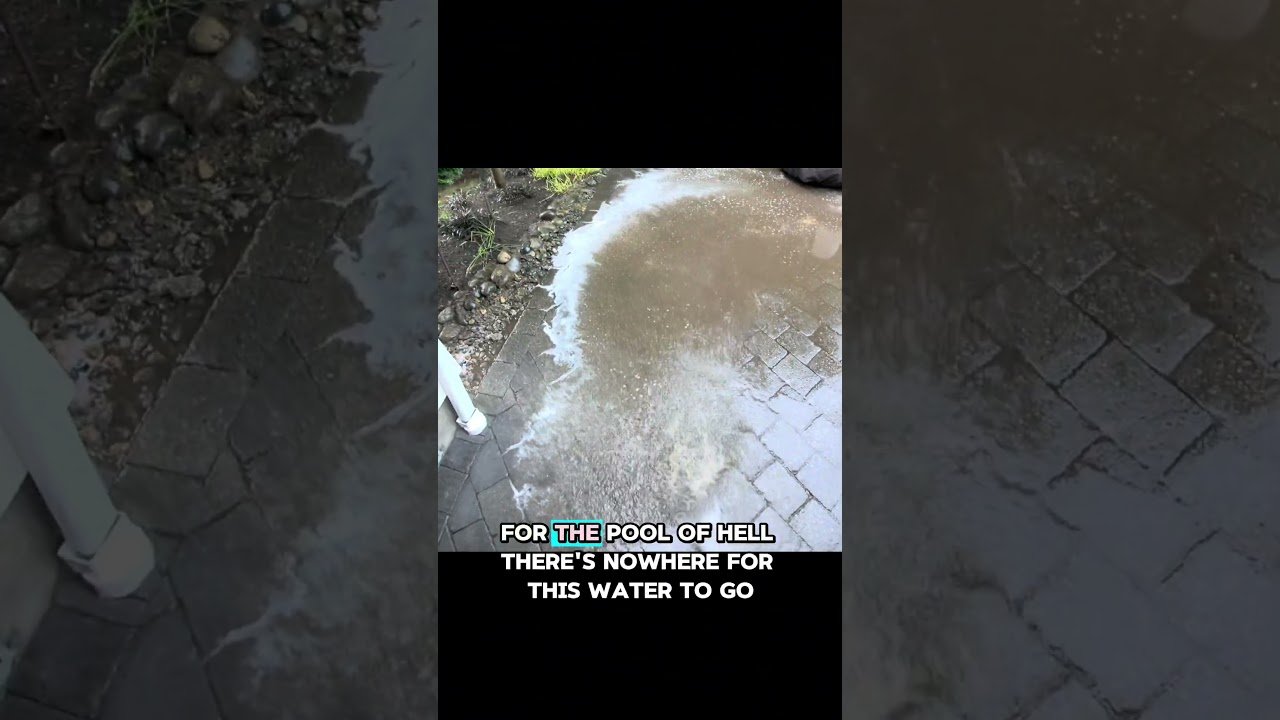Complete Guide to Your Pressure Washing Job in Capitol Hill Seattle